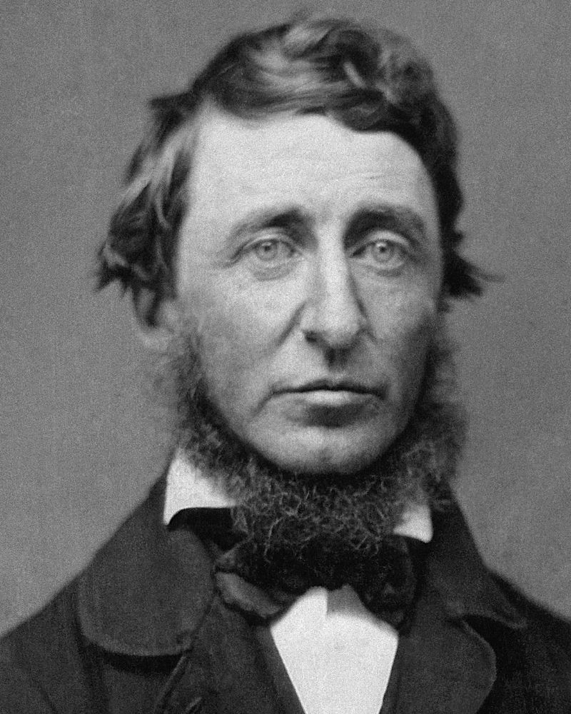 Portrait of Henry David Thoreau